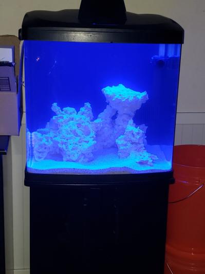 Biocube hotsell fish tank