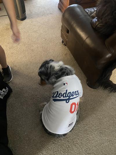 PETS FIRST MLB Dog & Cat Jersey, Los Angeles Dodgers, XX-Large 