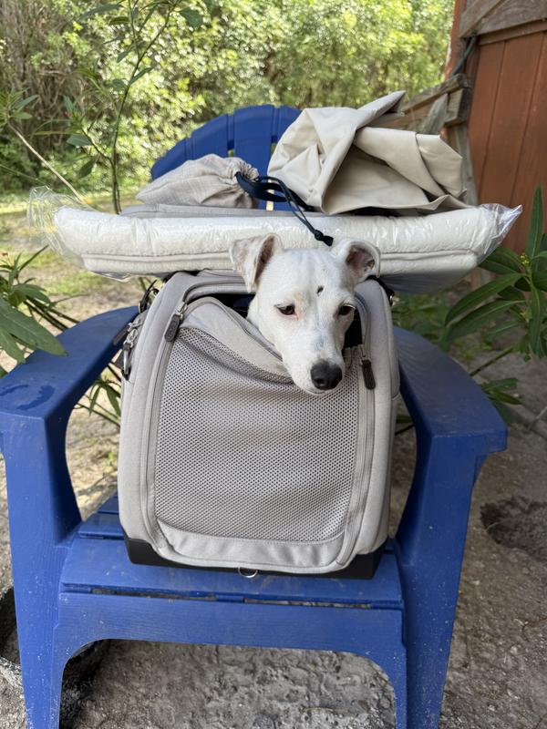 Comes with accessories including fluffy pad/seat belts/shoulder straps for easy carrying