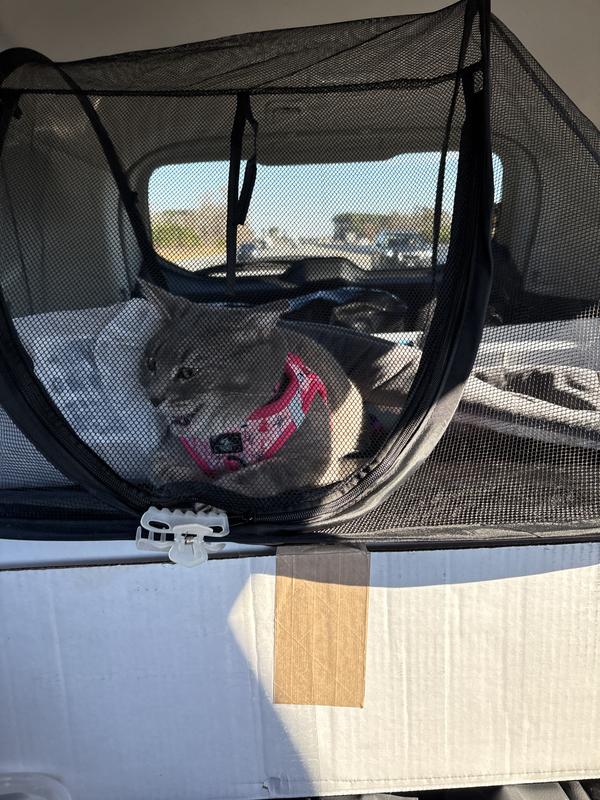 I recommend this spray for traveling.