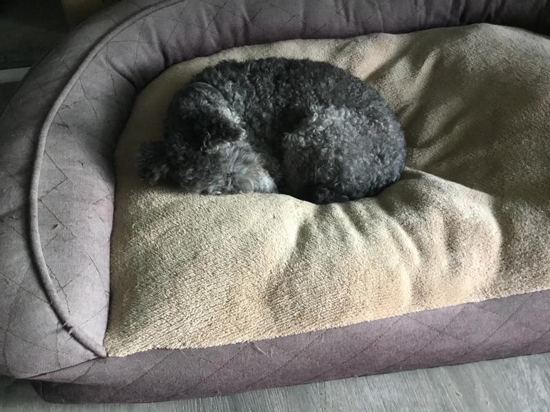 A excellent quality food