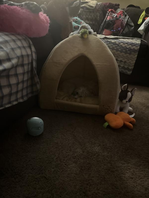 After fluffing the pillow inside she got right in