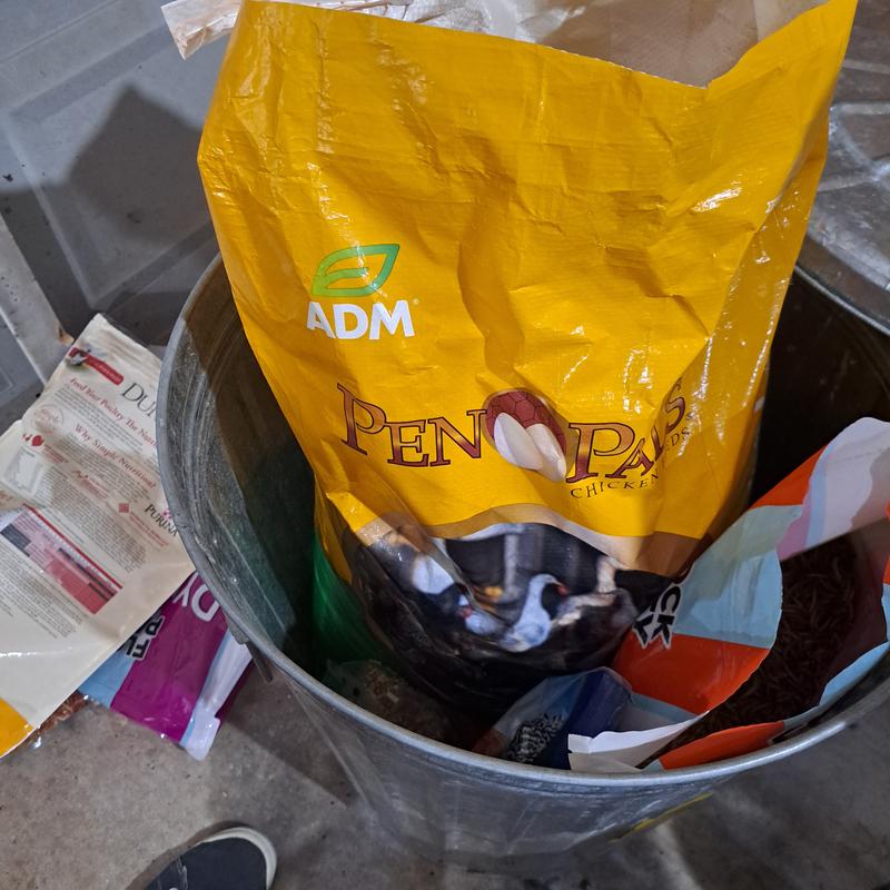 Pen Pals Total Flock