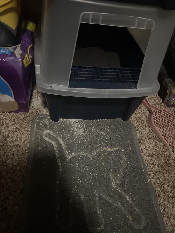 Lots of cat litter got all over the place after vacuuming often too