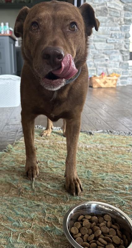 Raleigh enjoyed his Farmstead Feast