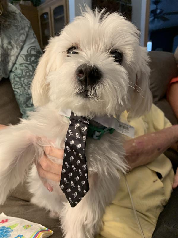 He’s a happy, handsome little 14 year old boy.  I love ❤️ him .