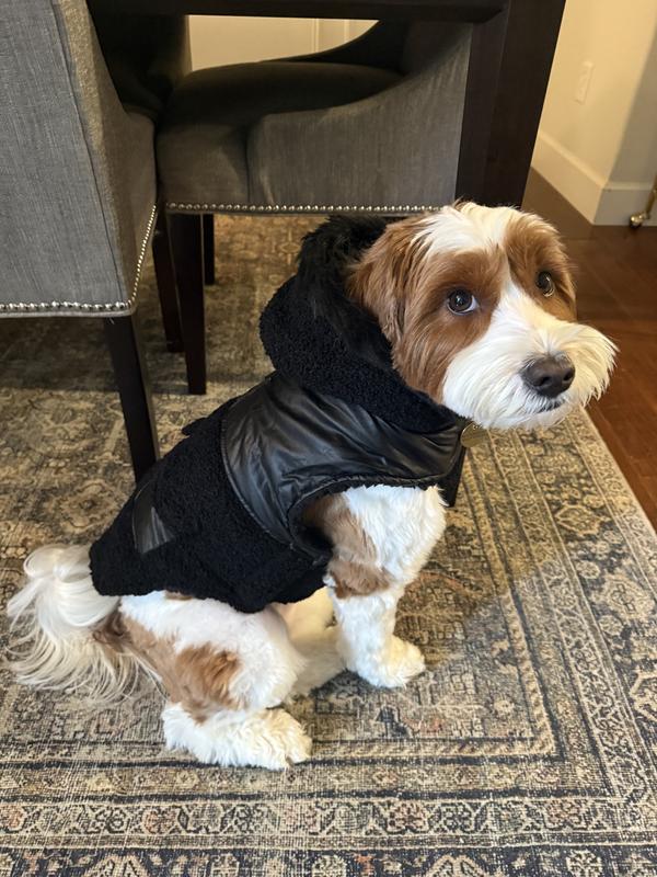 Frisco Medium Weight Faux Leather Dog & Cat Parka with Faux Fur Trimmed Hood, Black