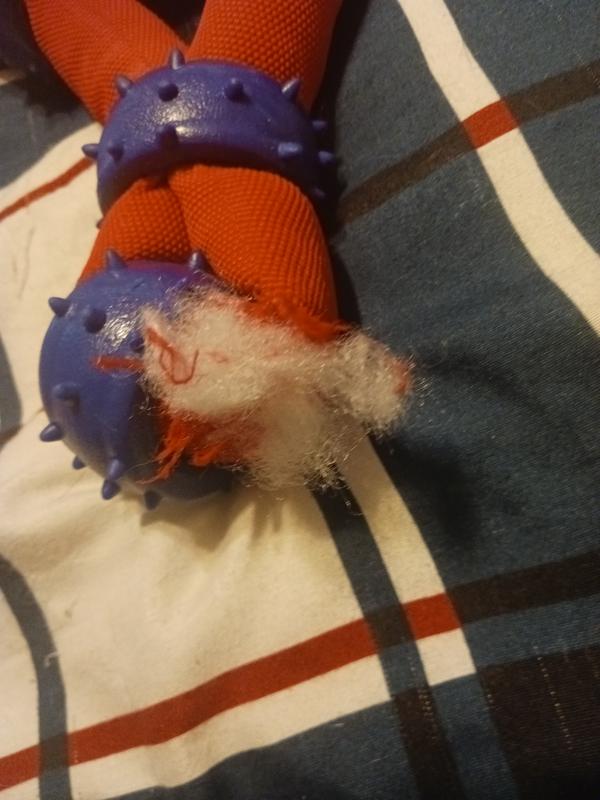 10 minutes playing with this toy.