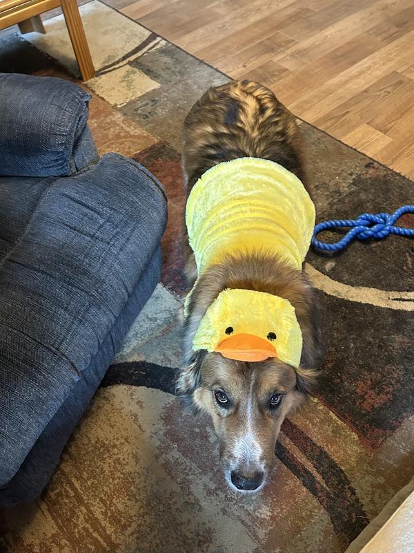 He doesn’t look too happy! 😊