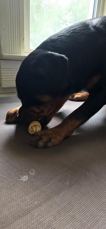 Norma right after receiving.