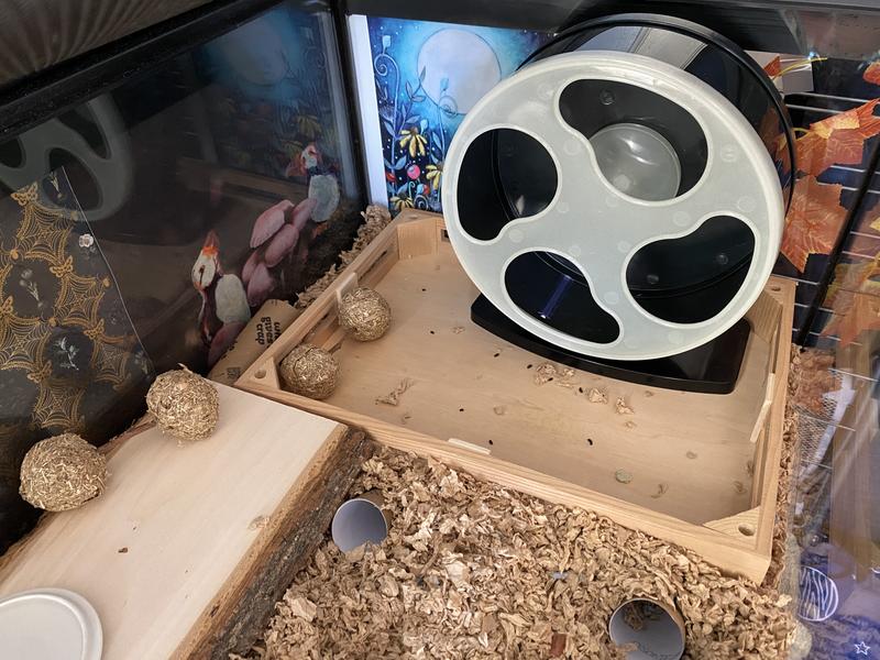 Small footprint compared to Full Cheeks 8”, which took up most of this platform.