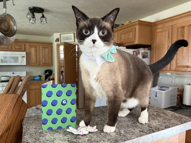 Albert received a birthday card from Chewy!!!!