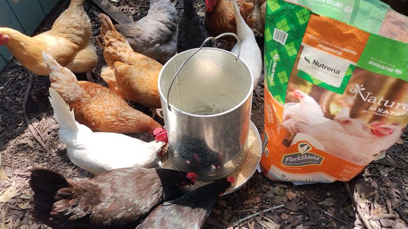 They all love the crumbles!