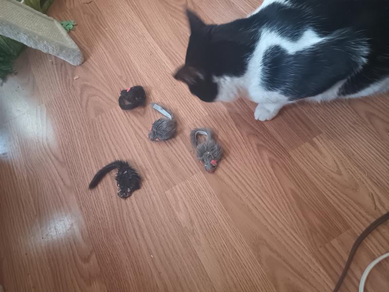 Truffles with h the few she has left