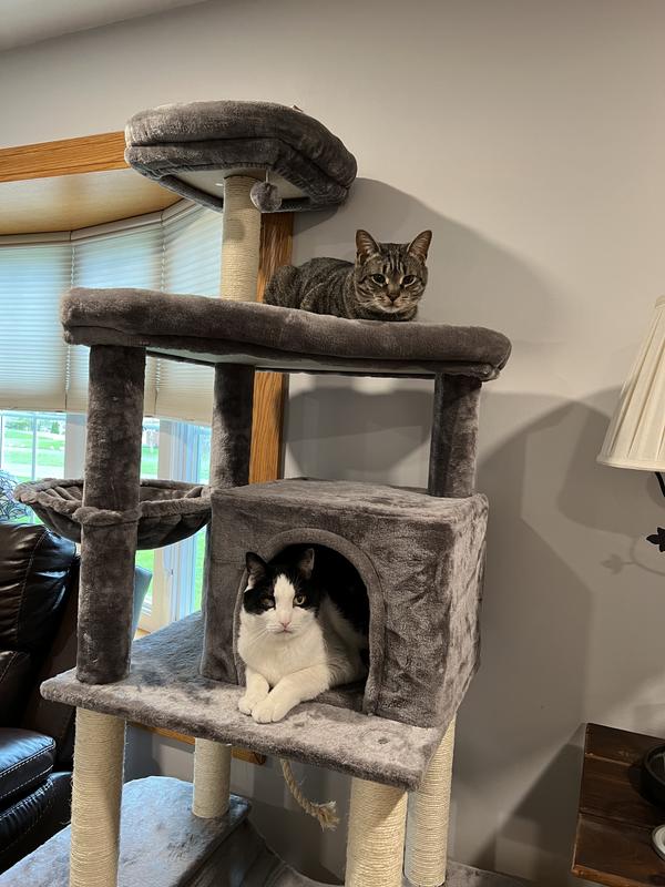 FRISCO 73-in Cat Tree with Hammock, Condo, Lounge Basket, Top Perch and ...