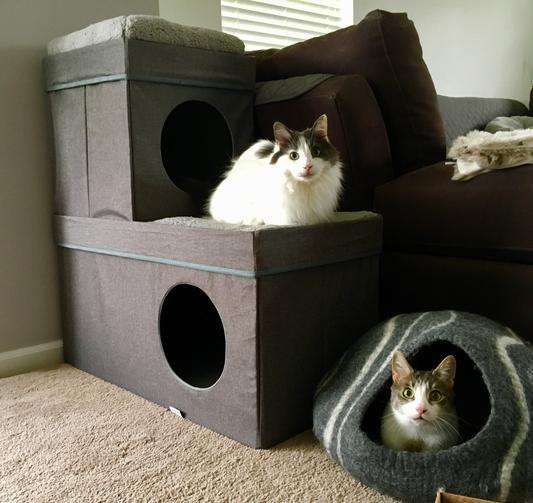 KITTY CITY Folding Cat Condo Chewy