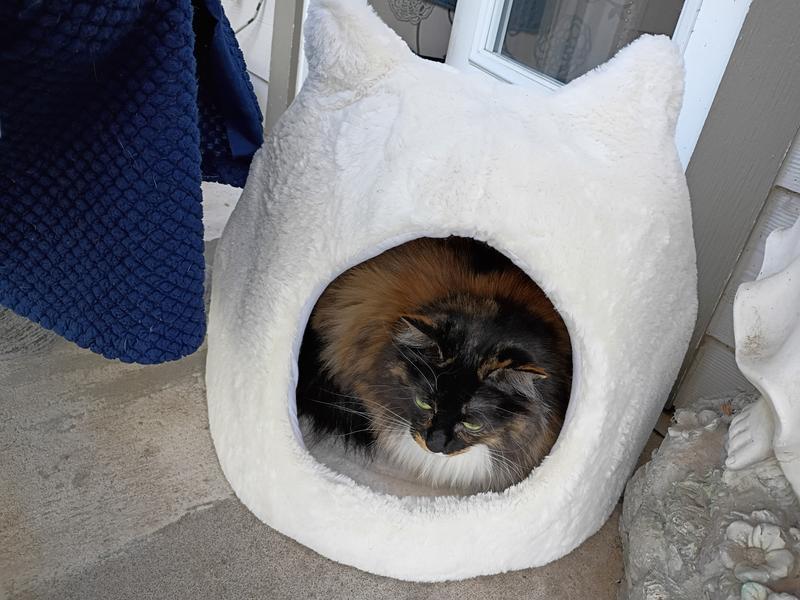 Perfect to keep warm in winter on balcony watching birdies!