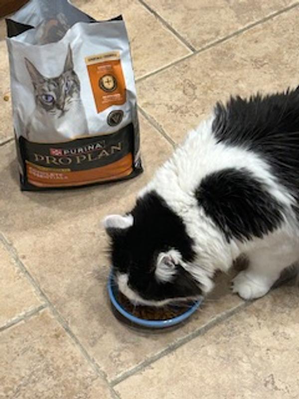 Mazikeen, my 3 year old likes it too!