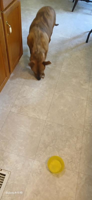 All gone in less than a minute