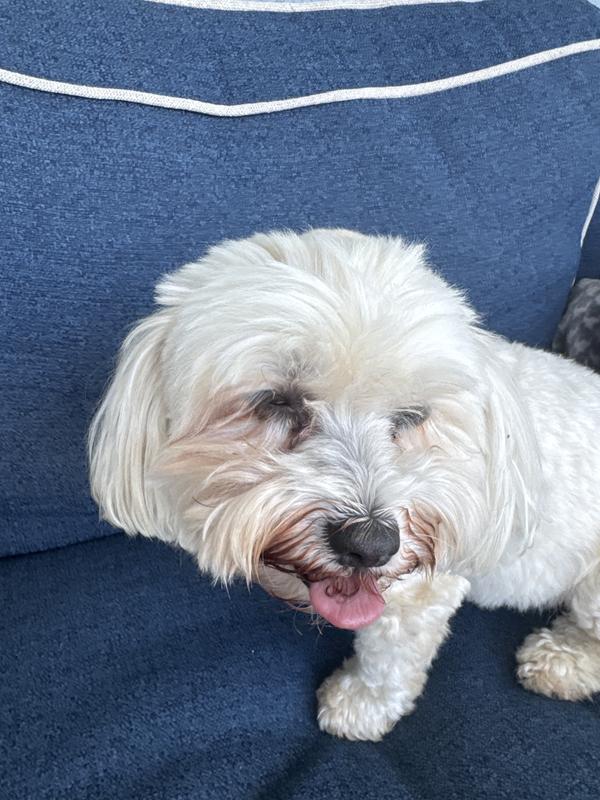 Ugh the eye goop is back!