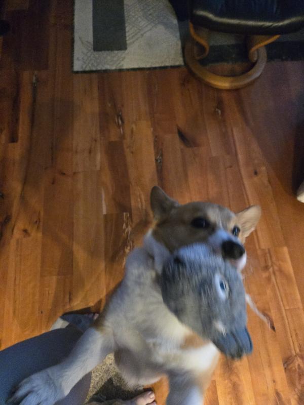 Iroh showing off his toy