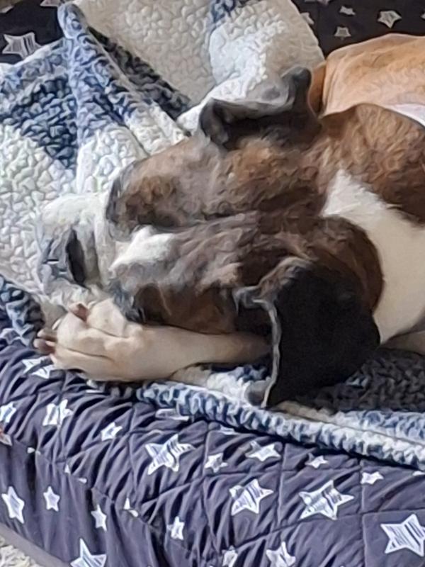 Sleeping hard after she ate.