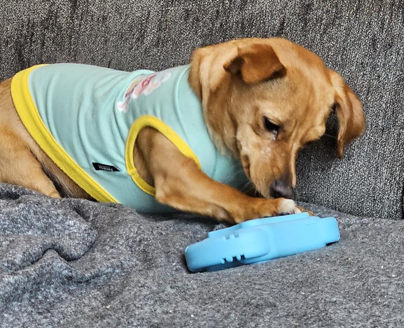 DE' VORA Scratch Square Dog & Cat Grooming Toy, Large