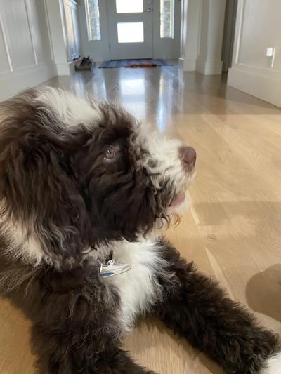 Another Sneaker head in the fam.