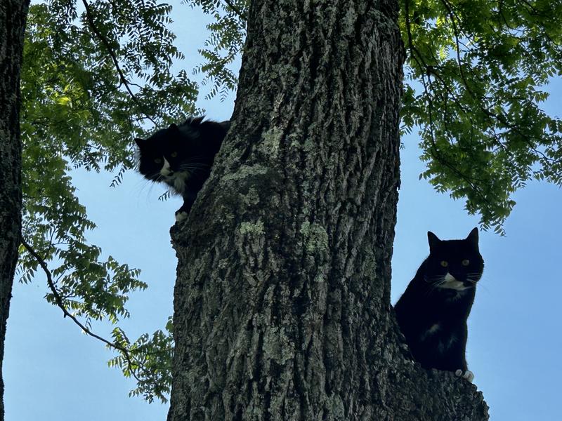Enjoying some time outdoors