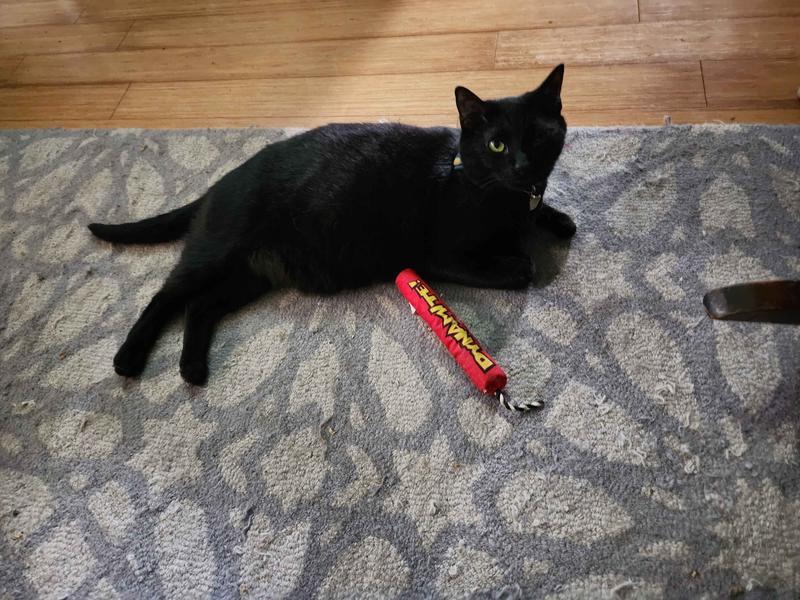 Catstages Green Magic Dynamite Stick Cat Toy, Red, One-Size 
