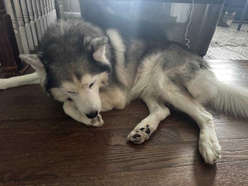 MMMMMMM, tastes goood!