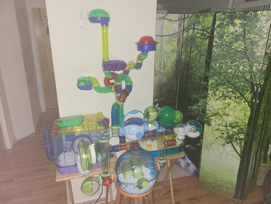 Just getting started. Imma have my guy feeling like he traveled the world.