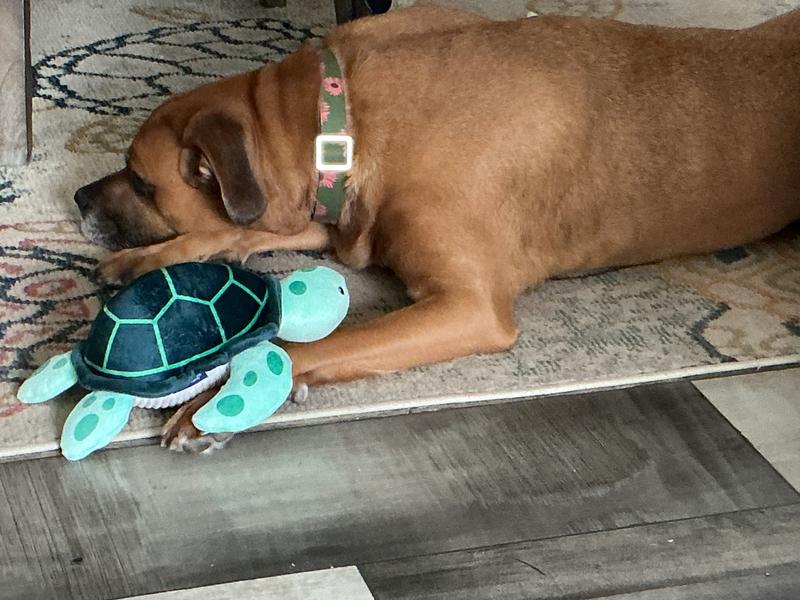 My new best toy