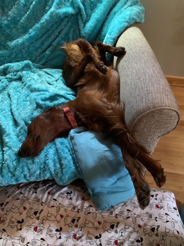 It even looks good upside down.