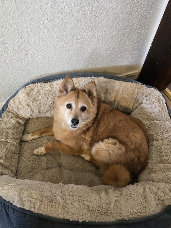 Eagerly awaiting the treat with less watery eyes.