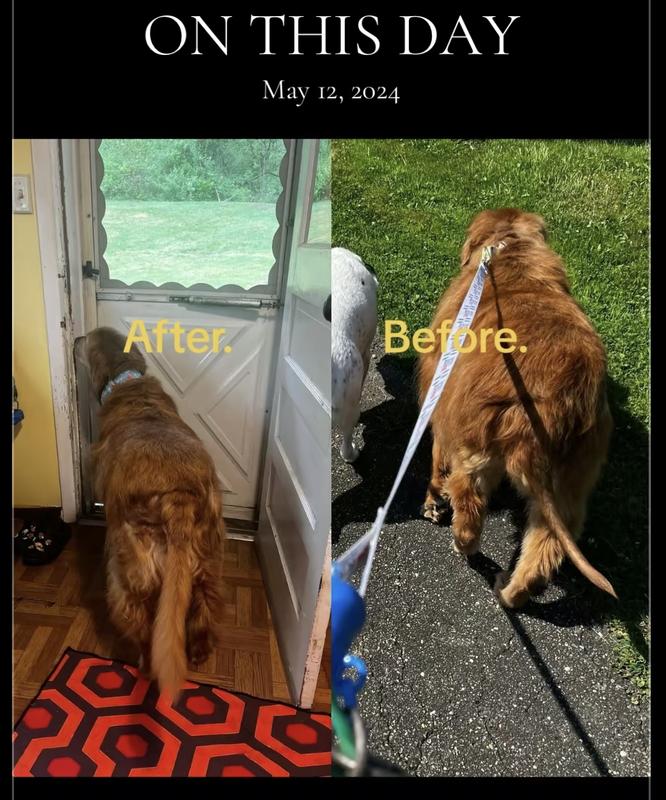 He even had less hair