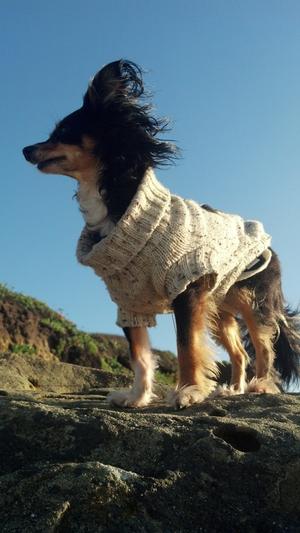 A day at the beach