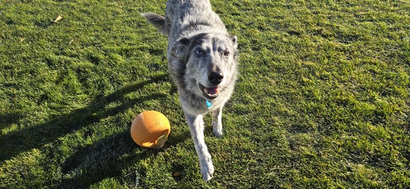 Our 11 yo active boy