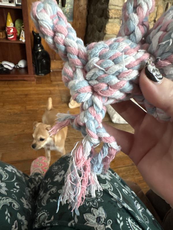 Not good if you have a puppy that likes to chew!