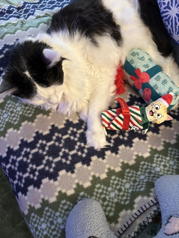 Festive Cat Toy