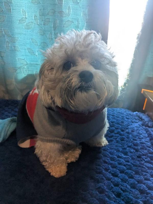 Very nice and quality is super warm for the winter