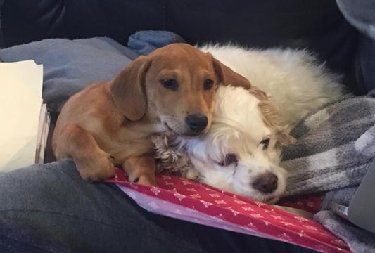 Madison and Cooper!!