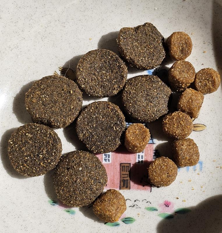 Next level large breed dog food versus diamond naturals chicken, all ages