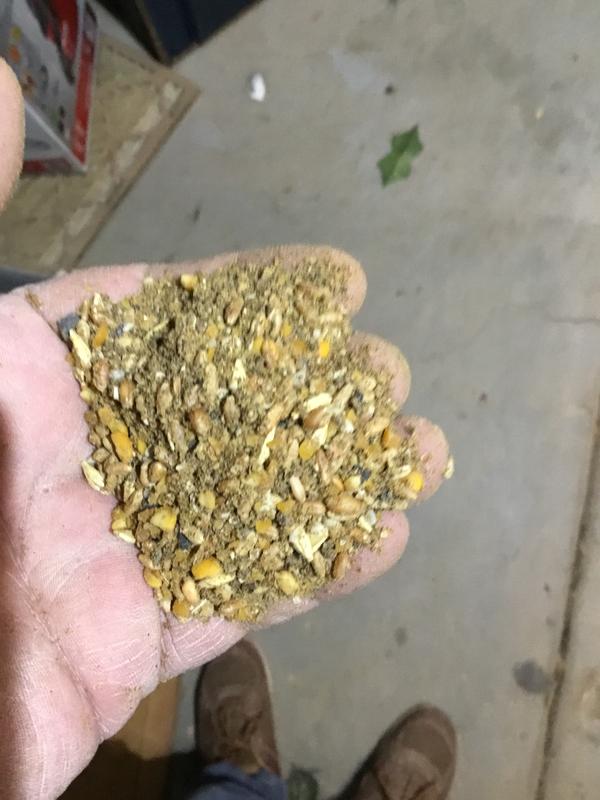 Whole bucket looks like this