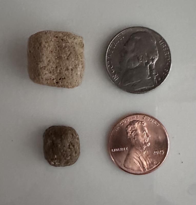 Size context. The bigger pieces are soft