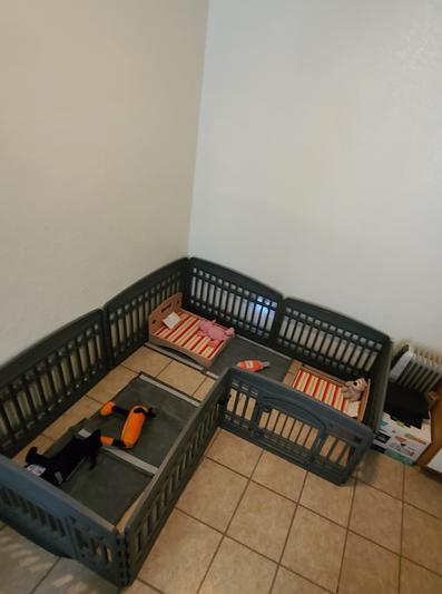 Etna Wooden Bone & Paw Design Sofa Cat & Dog Bed with Removable Cover