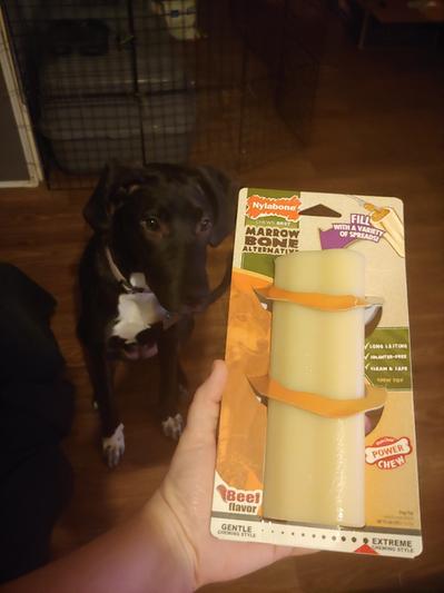 Nylabone marrow outlet bone