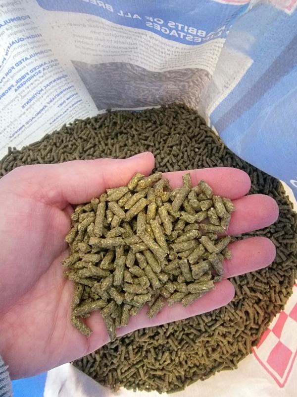 Purina Show Rabbit Pellet Feed, 50-lb bag - Chewy.com