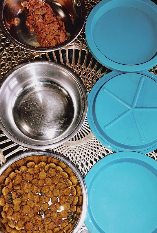 Water Cup Food Container Plus 2 Silicone Bowls - Pawtisfaction