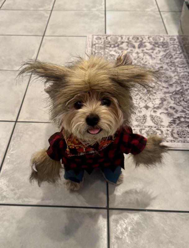 My little werewolf Gia!